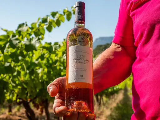 Vins IGP Var